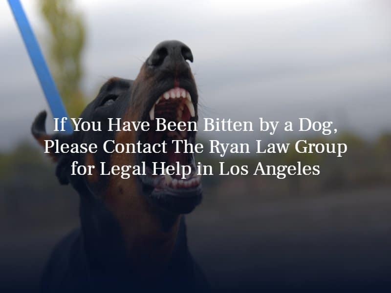 Los Angeles dog bite lawyer